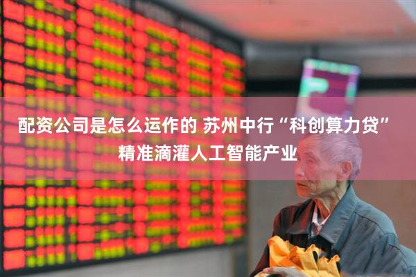 配资公司是怎么运作的 苏州中行“科创算力贷” 精准滴灌人工智能产业