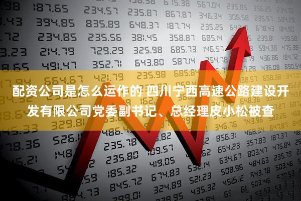 配资公司是怎么运作的 四川宁西高速公路建设开发有限公司党委副书记、总经理皮小松被查