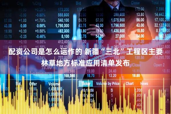 配资公司是怎么运作的 新疆“三北”工程区主要林草地方标准应用清单发布
