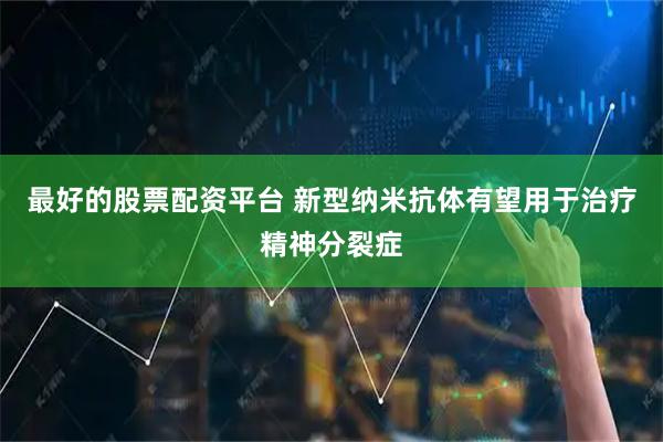 最好的股票配资平台 新型纳米抗体有望用于治疗精神分裂症