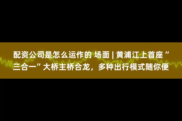 配资公司是怎么运作的 场面 | 黄浦江上首座“三合一”大桥主桥合龙，多种出行模式随你便