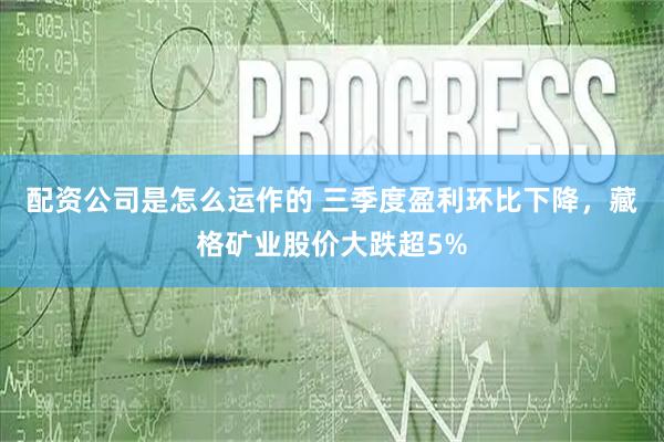 配资公司是怎么运作的 三季度盈利环比下降，藏格矿业股价大跌超5%