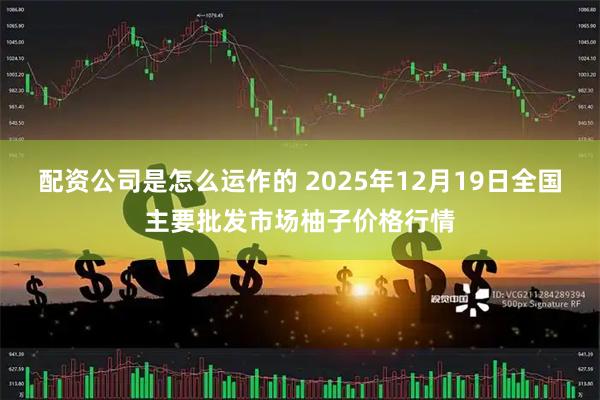 配资公司是怎么运作的 2025年12月19日全国主要批发市场柚子价格行情