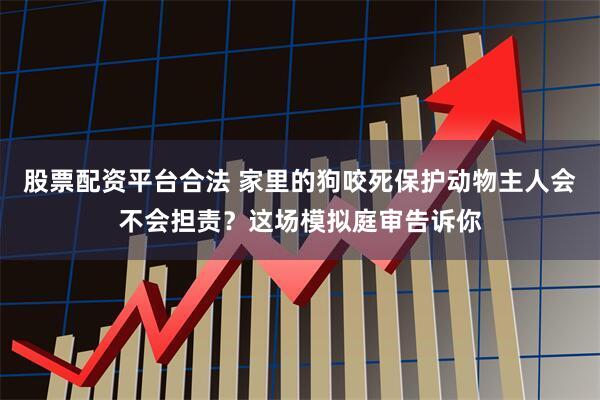 股票配资平台合法 家里的狗咬死保护动物主人会不会担责？这场模拟庭审告诉你